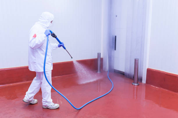 Best Graffiti Removal  in Ontario, OH